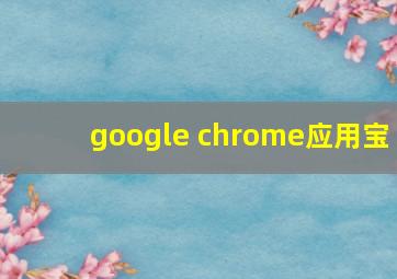 google chrome应用宝